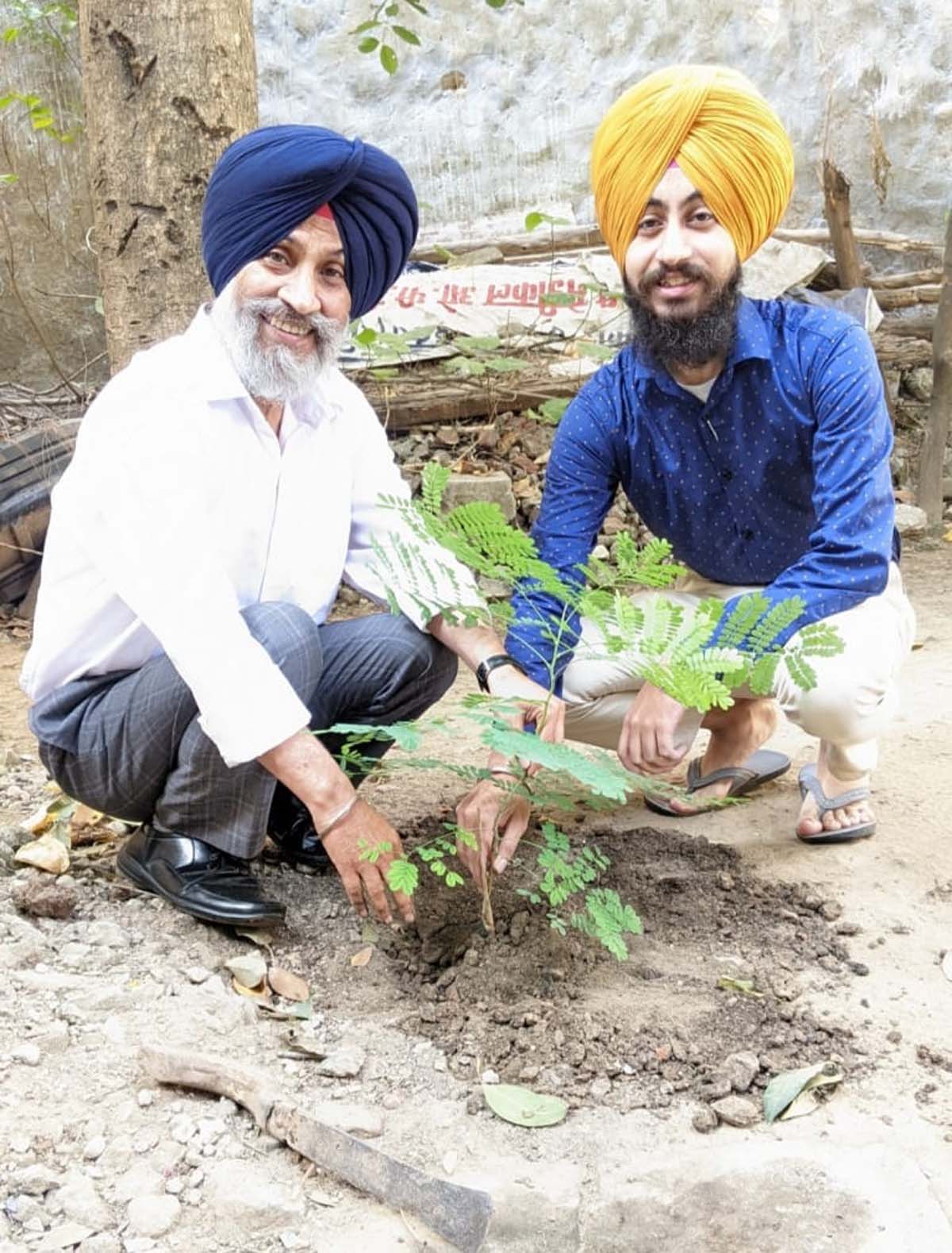 Saplings were planted on the occasion of birthday